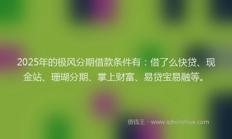 2025年的极风分期借款条件有：借了么快贷、现金站、珊瑚分期、掌上财富、易贷宝易融等。