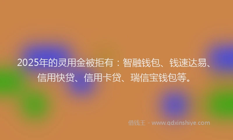 2025年的灵用金被拒有：智融钱包、钱速达易、信用快贷、信用卡贷、瑞信宝钱包等。
