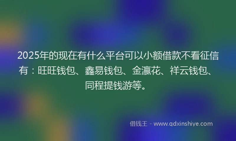 2025年的现在有什么平台可以小额借款不看征信有：旺旺钱包、鑫易钱包、金瀛花、祥云钱包、同程提钱游等。