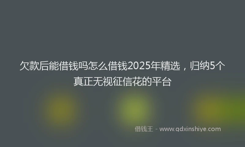 欠款后能借钱吗怎么借钱2025年精选，归纳5个真正无视征信花的平台