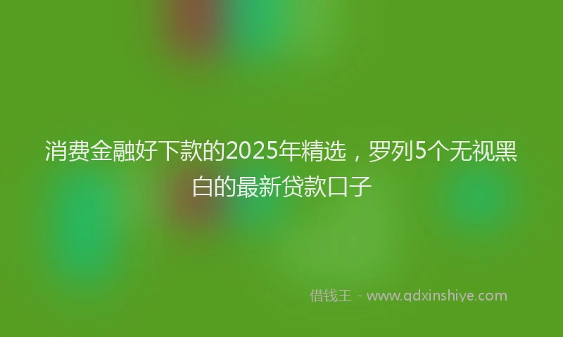 消费金融好下款的2025年精选，罗列5个无视黑白的最新贷款口子