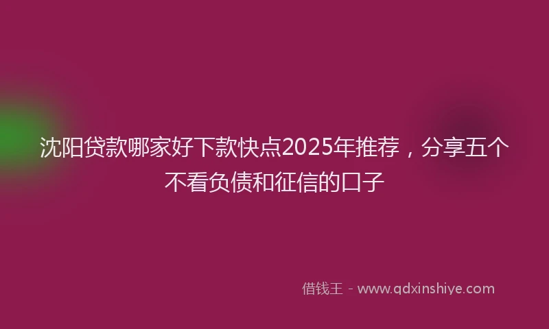 沈阳贷款哪家好下款快点2025年推荐，分享五个不看负债和征信的口子