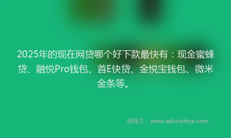 2025年的现在网贷哪个好下款最快有：现金蜜蜂贷、融悦Pro钱包、首E快贷、金悦宝钱包、微米金条等。