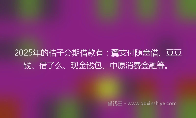2025年的桔子分期借款有：翼支付随意借、豆豆钱、借了么、现金钱包、中原消费金融等。
