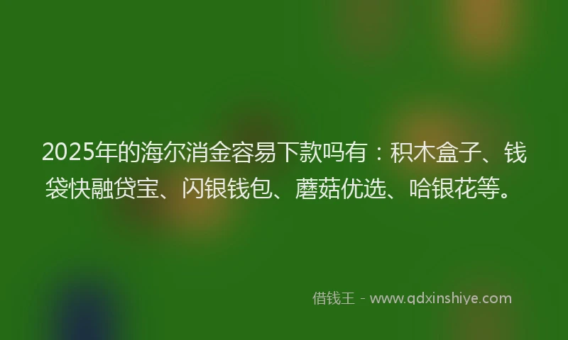 2025年的海尔消金容易下款吗有：积木盒子、钱袋快融贷宝、闪银钱包、蘑菇优选、哈银花等。