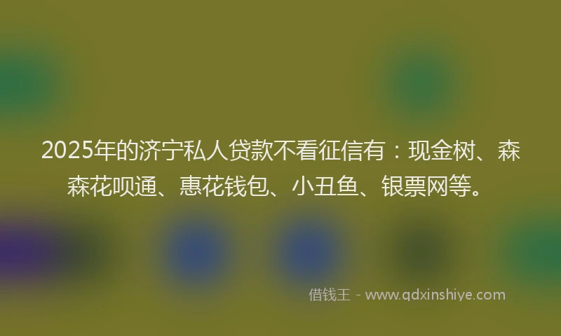 2025年的济宁私人贷款不看征信有：现金树、森森花呗通、惠花钱包、小丑鱼、银票网等。
