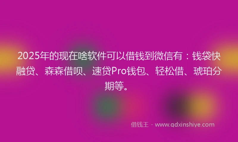 2025年的现在啥软件可以借钱到微信有：钱袋快融贷、森森借呗、速贷Pro钱包、轻松借、琥珀分期等。