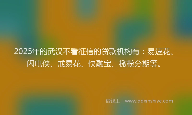 2025年的武汉不看征信的贷款机构有：易速花、闪电侠、戒易花、快融宝、橄榄分期等。