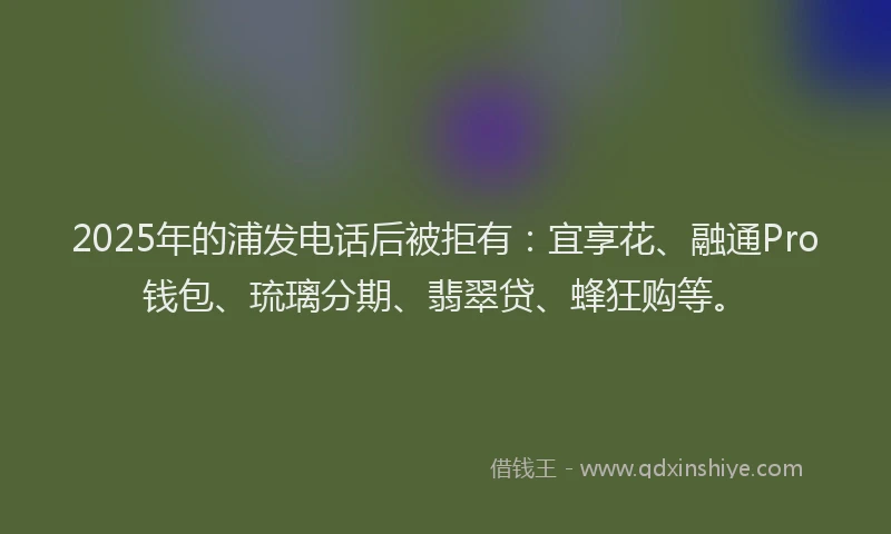 2025年的浦发电话后被拒有：宜享花、融通Pro钱包、琉璃分期、翡翠贷、蜂狂购等。