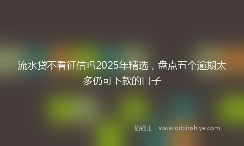 流水贷不看征信吗2025年精选，盘点五个逾期太多仍可下款的口子