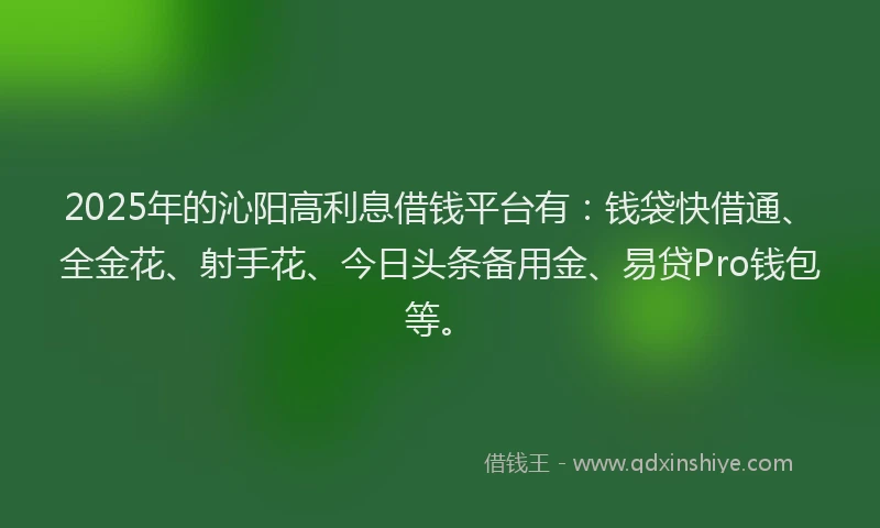 2025年的沁阳高利息借钱平台有：钱袋快借通、全金花、射手花、今日头条备用金、易贷Pro钱包等。