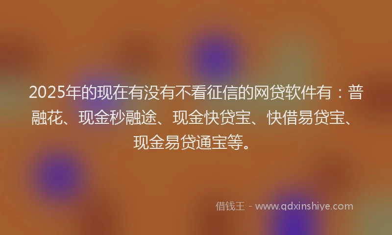 2025年的现在有没有不看征信的网贷软件有：普融花、现金秒融途、现金快贷宝、快借易贷宝、现金易贷通宝等。