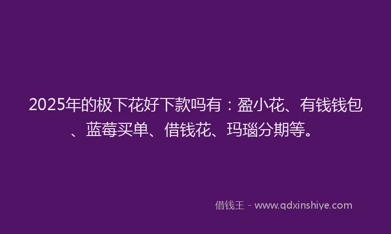 2025年的极下花好下款吗有：盈小花、有钱钱包、蓝莓买单、借钱花、玛瑙分期等。