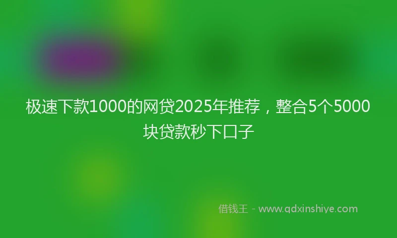 极速下款1000的网贷2025年推荐，整合5个5000块贷款秒下口子