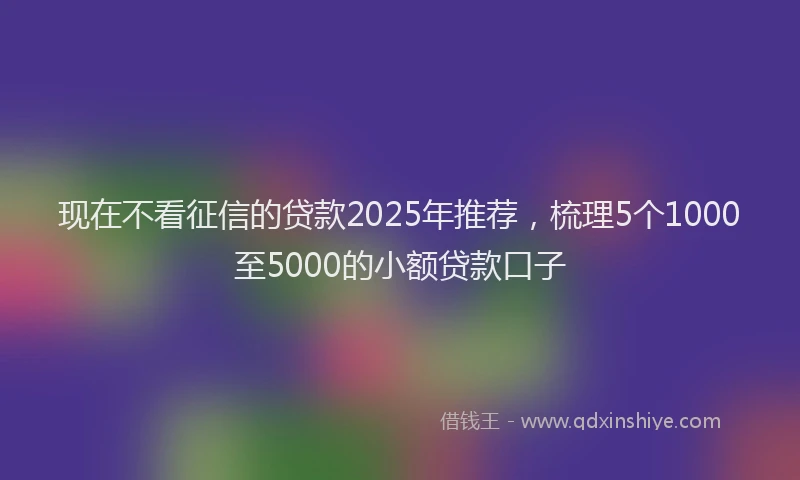 现在不看征信的贷款2025年推荐，梳理5个1000至5000的小额贷款口子