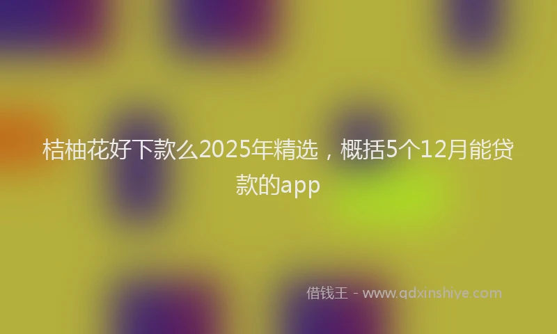 桔柚花好下款么2025年精选，概括5个12月能贷款的app