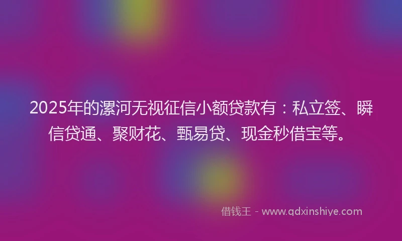 2025年的漯河无视征信小额贷款有：私立签、瞬信贷通、聚财花、甄易贷、现金秒借宝等。