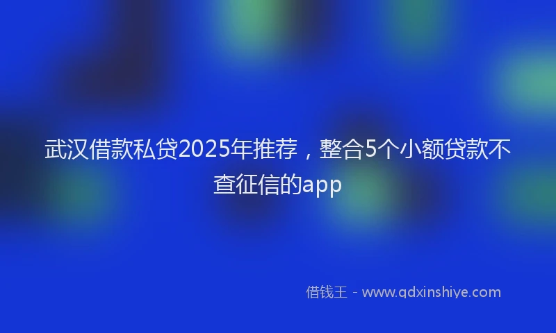 武汉借款私贷2025年推荐，整合5个小额贷款不查征信的app