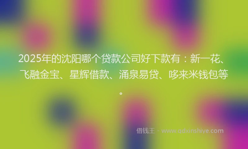2025年的沈阳哪个贷款公司好下款有：新一花、飞融金宝、星辉借款、涌泉易贷、哆来米钱包等。
