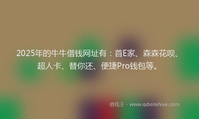 2025年的牛牛借钱网址有：首E家、森森花呗、超人卡、替你还、便捷Pro钱包等。