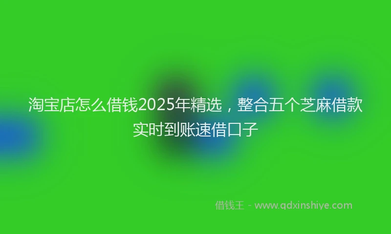 淘宝店怎么借钱2025年精选，整合五个芝麻借款实时到账速借口子