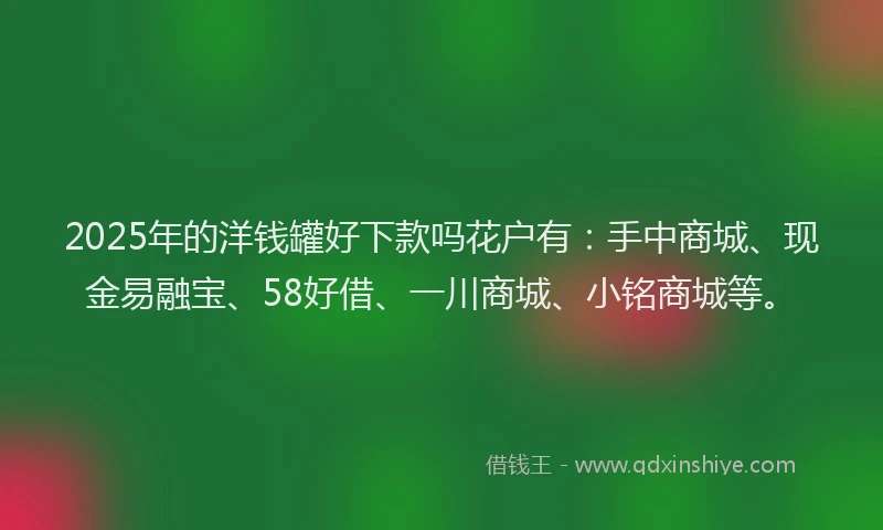 2025年的洋钱罐好下款吗花户有：手中商城、现金易融宝、58好借、一川商城、小铭商城等。