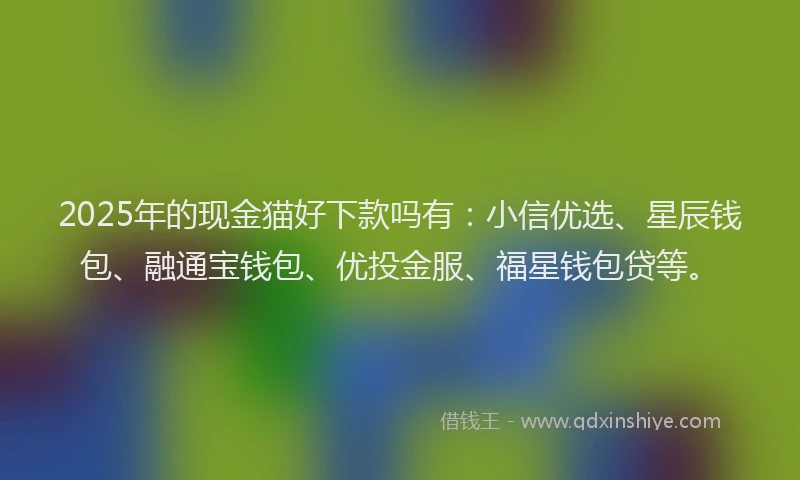 2025年的现金猫好下款吗有：小信优选、星辰钱包、融通宝钱包、优投金服、福星钱包贷等。