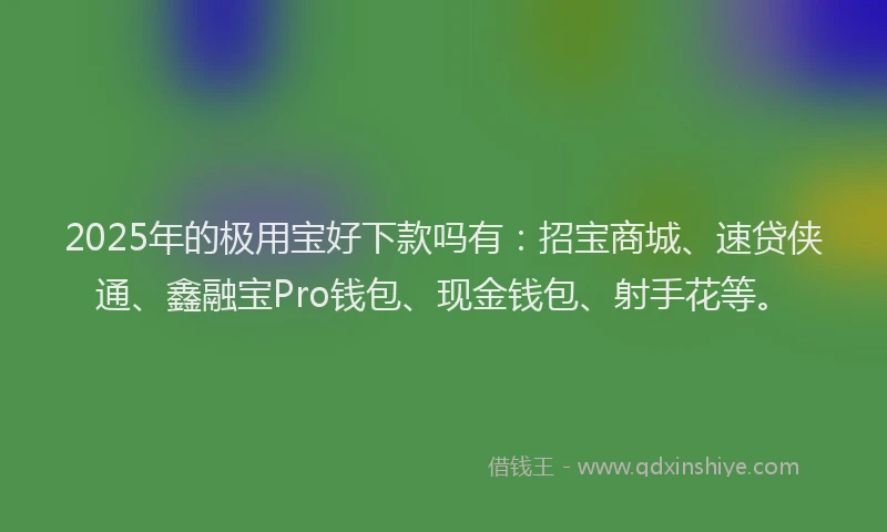 2025年的极用宝好下款吗有：招宝商城、速贷侠通、鑫融宝Pro钱包、现金钱包、射手花等。