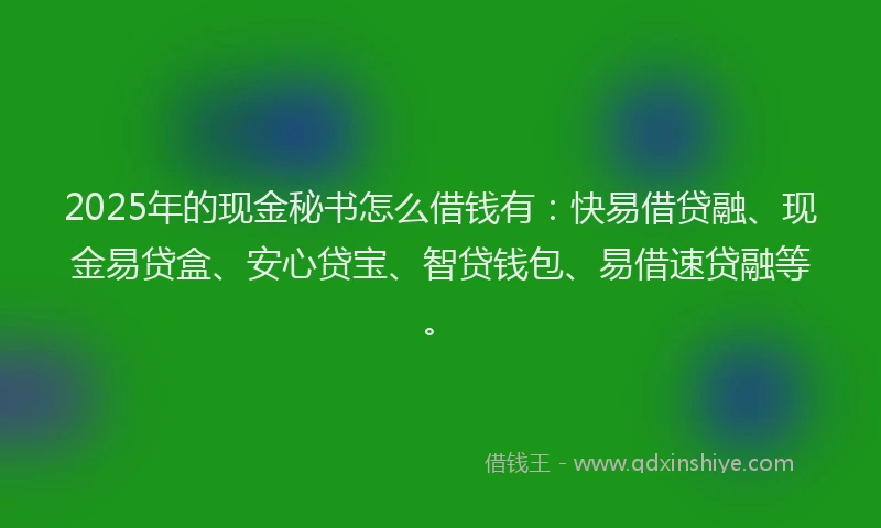 2025年的现金秘书怎么借钱有：快易借贷融、现金易贷盒、安心贷宝、智贷钱包、易借速贷融等。