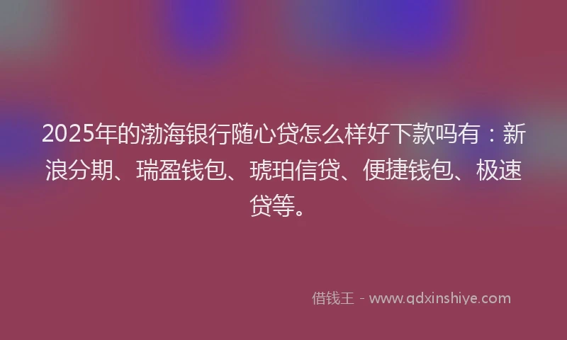 2025年的渤海银行随心贷怎么样好下款吗有：新浪分期、瑞盈钱包、琥珀信贷、便捷钱包、极速贷等。