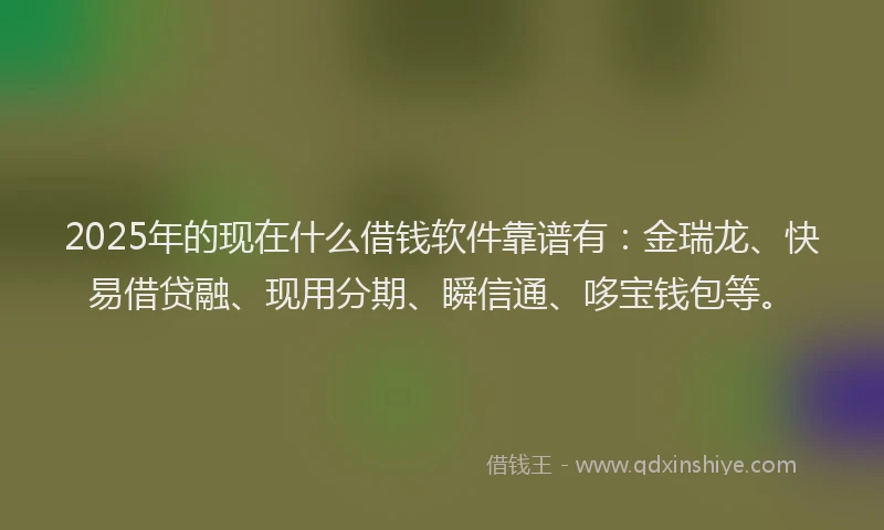 2025年的现在什么借钱软件靠谱有：金瑞龙、快易借贷融、现用分期、瞬信通、哆宝钱包等。