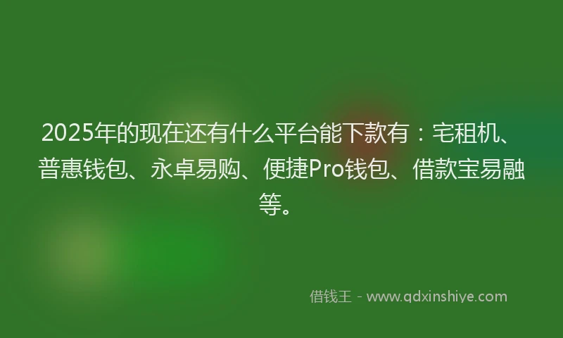 2025年的现在还有什么平台能下款有：宅租机、普惠钱包、永卓易购、便捷Pro钱包、借款宝易融等。