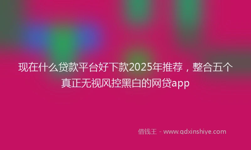 现在什么贷款平台好下款2025年推荐，整合五个真正无视风控黑白的网贷app