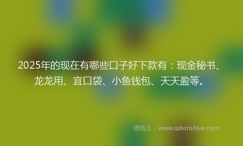 2025年的现在有哪些口子好下款有：现金秘书、龙龙用、宜口袋、小鱼钱包、天天盈等。