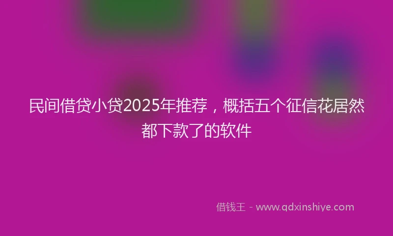 民间借贷小贷2025年推荐，概括五个征信花居然都下款了的软件