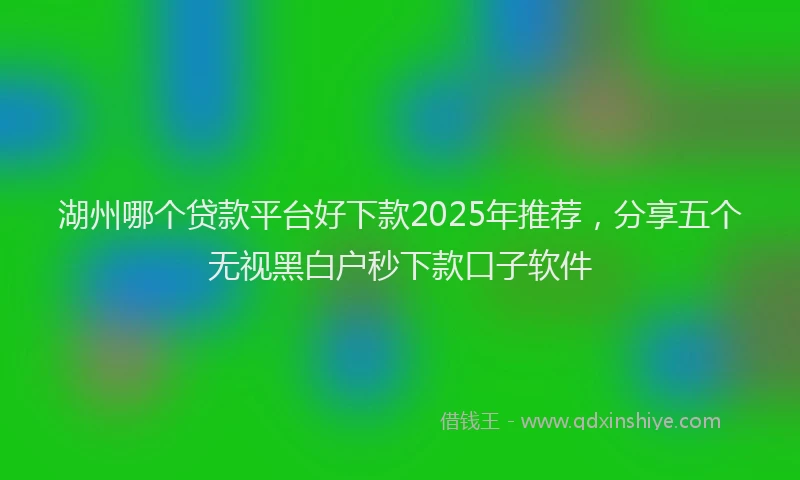 湖州哪个贷款平台好下款2025年推荐，分享五个无视黑白户秒下款口子软件