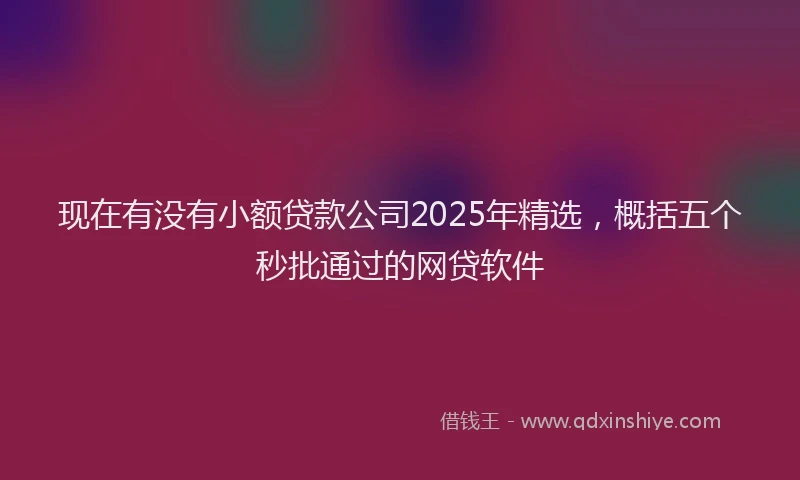 现在有没有小额贷款公司2025年精选，概括五个秒批通过的网贷软件
