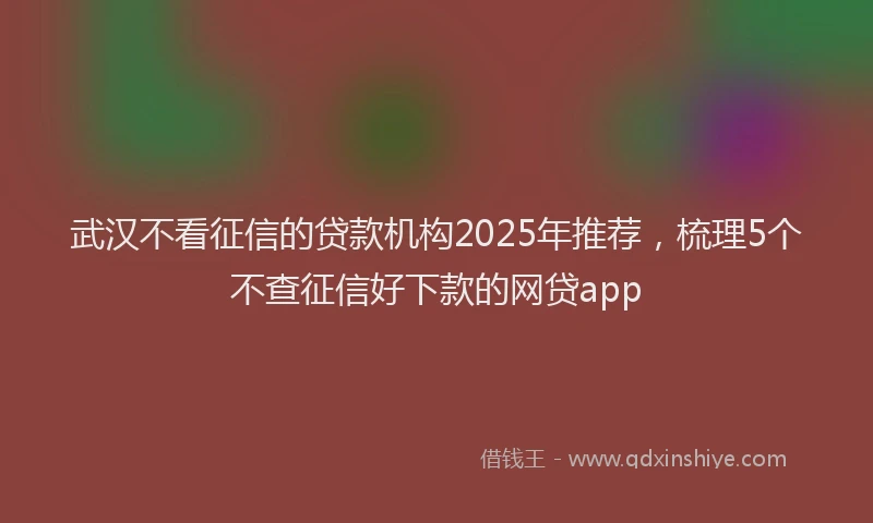 武汉不看征信的贷款机构2025年推荐，梳理5个不查征信好下款的网贷app