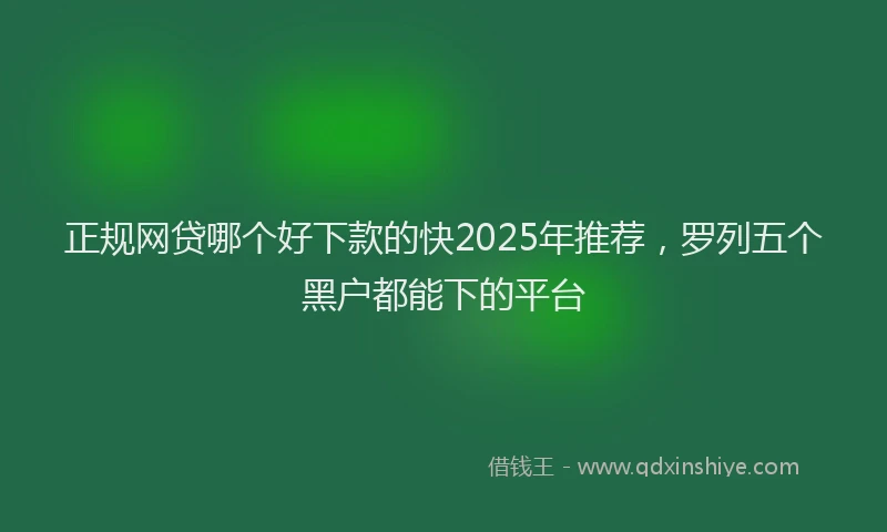 正规网贷哪个好下款的快2025年推荐，罗列五个黑户都能下的平台