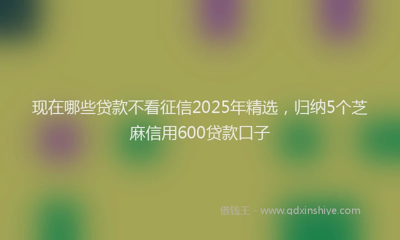 现在哪些贷款不看征信2025年精选，归纳5个芝麻信用600贷款口子