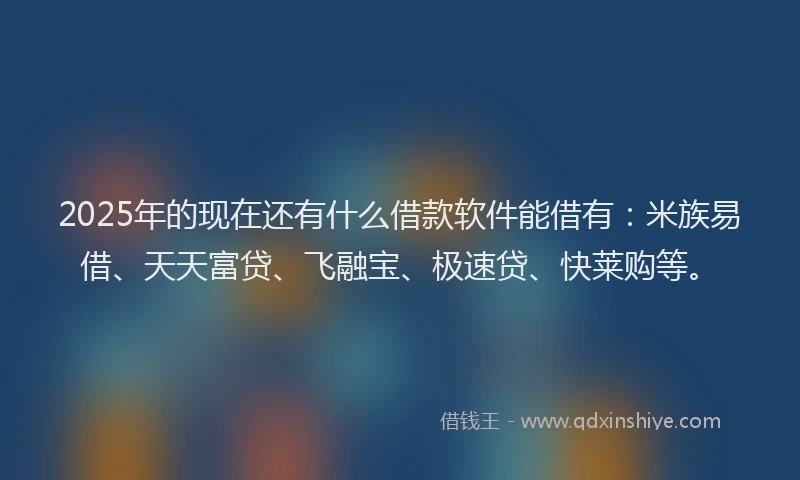 2025年的现在还有什么借款软件能借有：米族易借、天天富贷、飞融宝、极速贷、快莱购等。