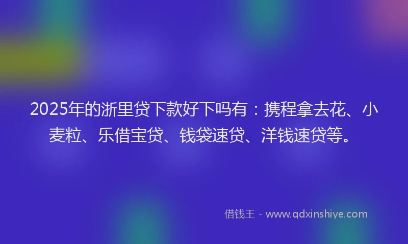 2025年的浙里贷下款好下吗有：携程拿去花、小麦粒、乐借宝贷、钱袋速贷、洋钱速贷等。