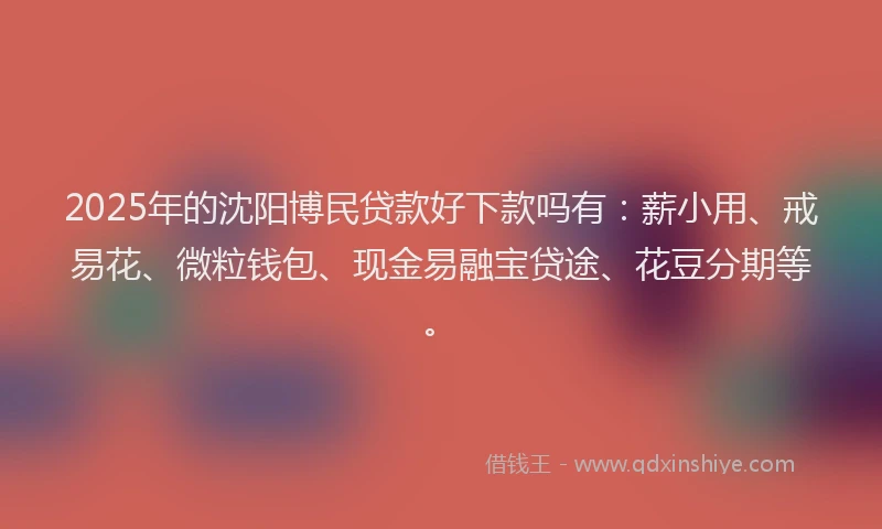 2025年的沈阳博民贷款好下款吗有：薪小用、戒易花、微粒钱包、现金易融宝贷途、花豆分期等。