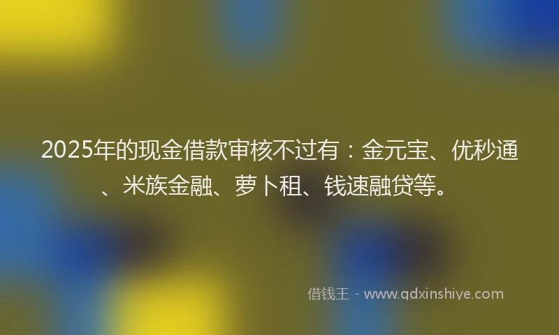 2025年的现金借款审核不过有：金元宝、优秒通、米族金融、萝卜租、钱速融贷等。