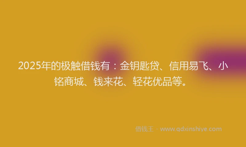 2025年的极触借钱有：金钥匙贷、信用易飞、小铭商城、钱来花、轻花优品等。