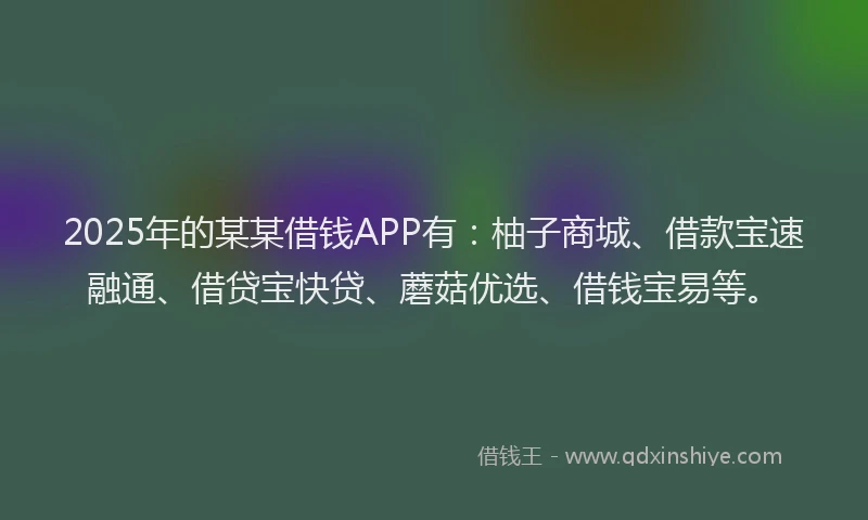 2025年的某某借钱APP有：柚子商城、借款宝速融通、借贷宝快贷、蘑菇优选、借钱宝易等。