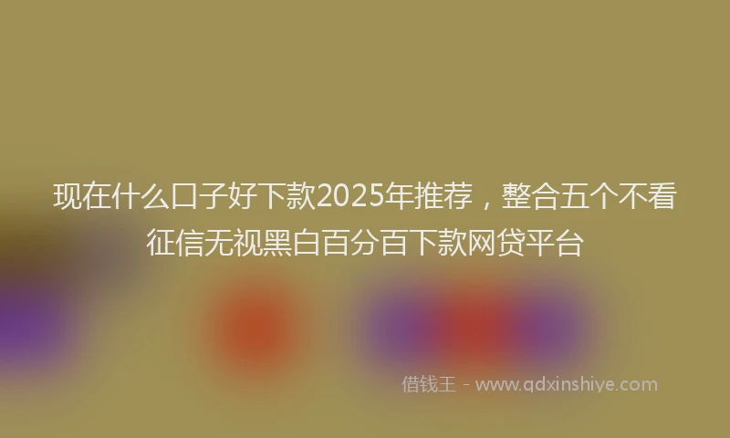 现在什么口子好下款2025年推荐，整合五个不看征信无视黑白百分百下款网贷平台