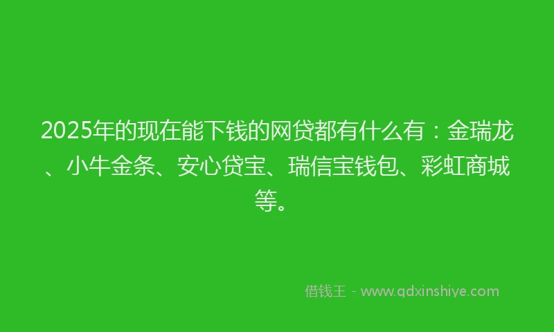 2025年的现在能下钱的网贷都有什么有：金瑞龙、小牛金条、安心贷宝、瑞信宝钱包、彩虹商城等。