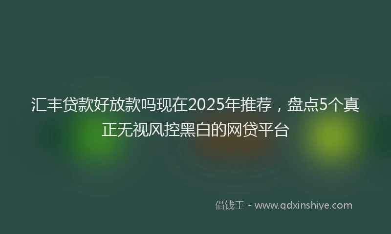 汇丰贷款好放款吗现在2025年推荐，盘点5个真正无视风控黑白的网贷平台