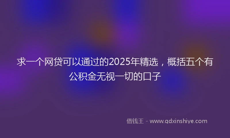 求一个网贷可以通过的2025年精选，概括五个有公积金无视一切的口子